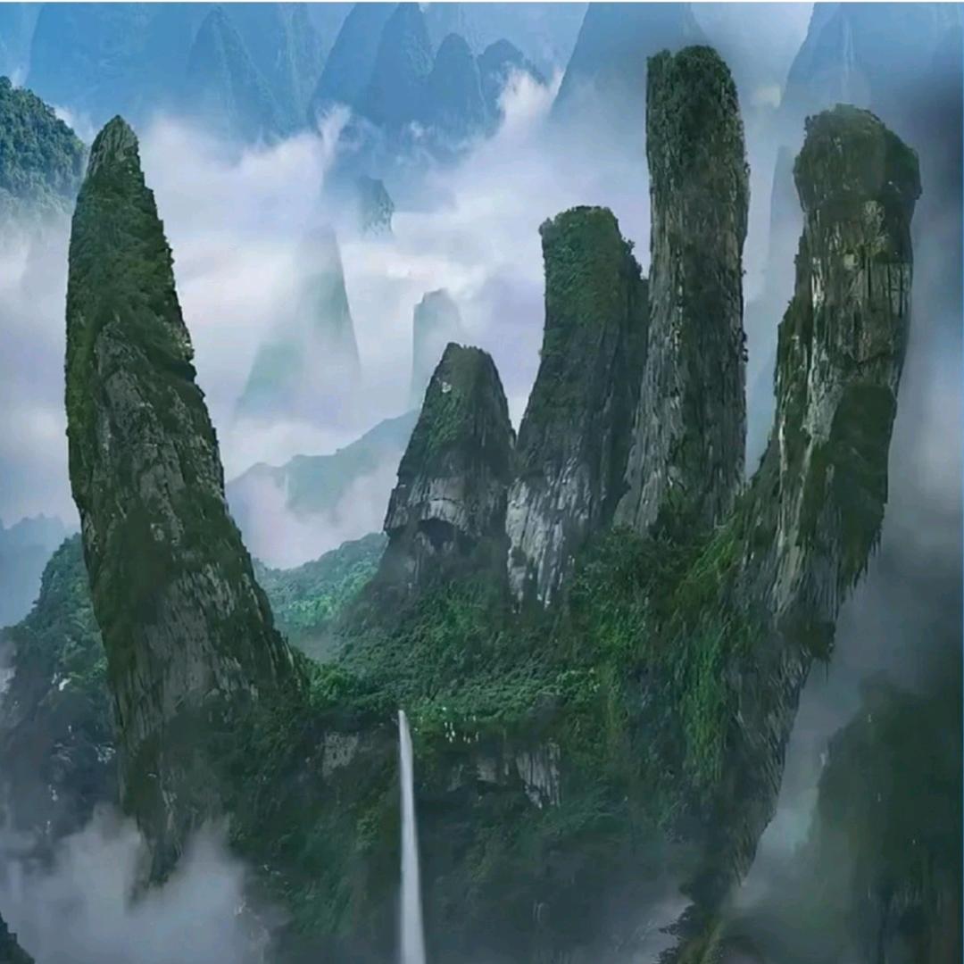 网络陪伴