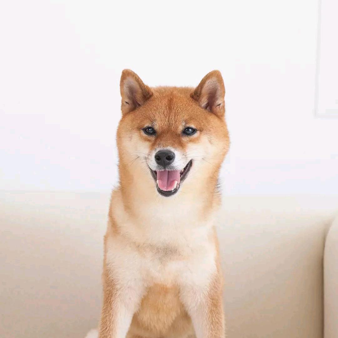 在不