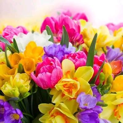 一笑而过解千愁