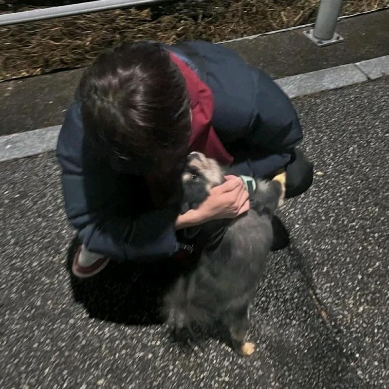 李  💖  杨💞
