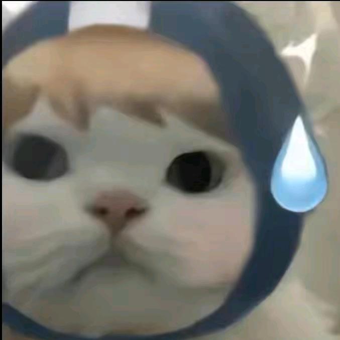 一定要早睡.