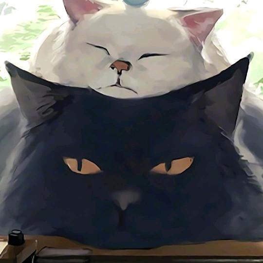 十二个月的好运