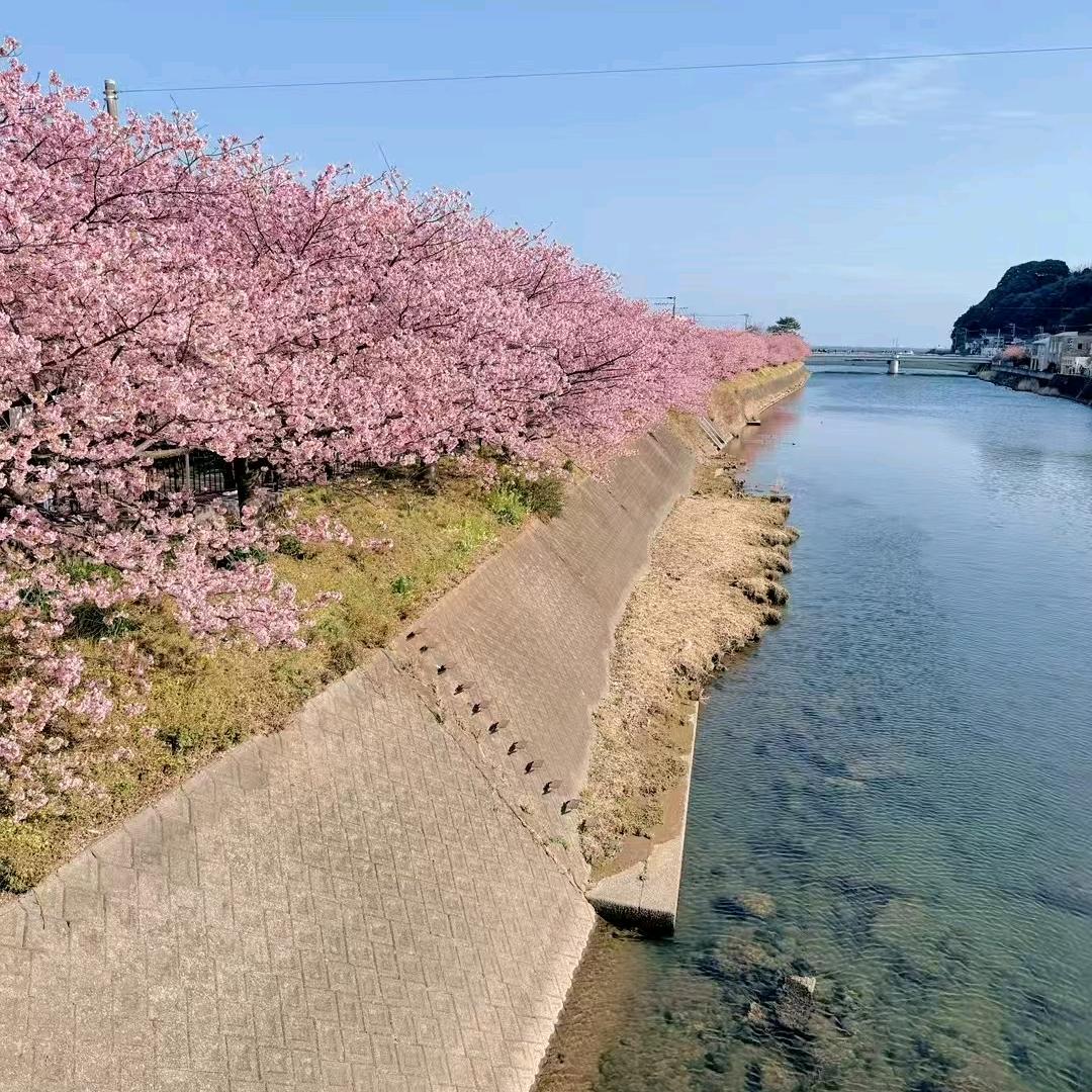 爱敏