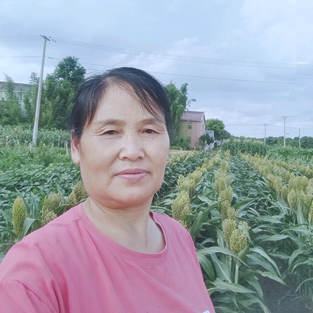 农村姐（开播不定时）