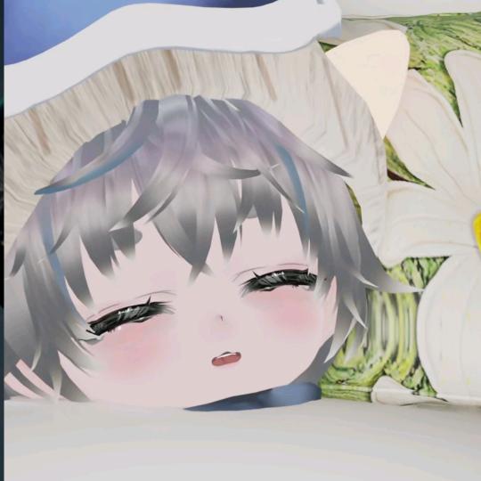 初锦槿瑾🥦🧅