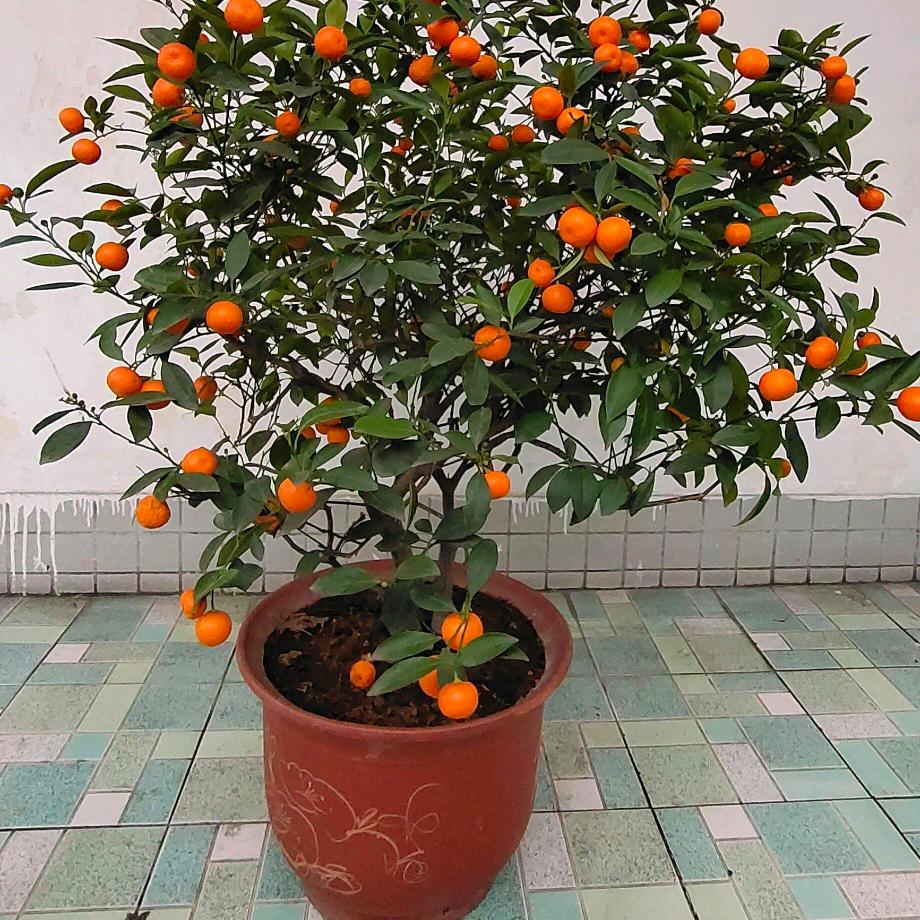 旷鸿沐泽专卖店