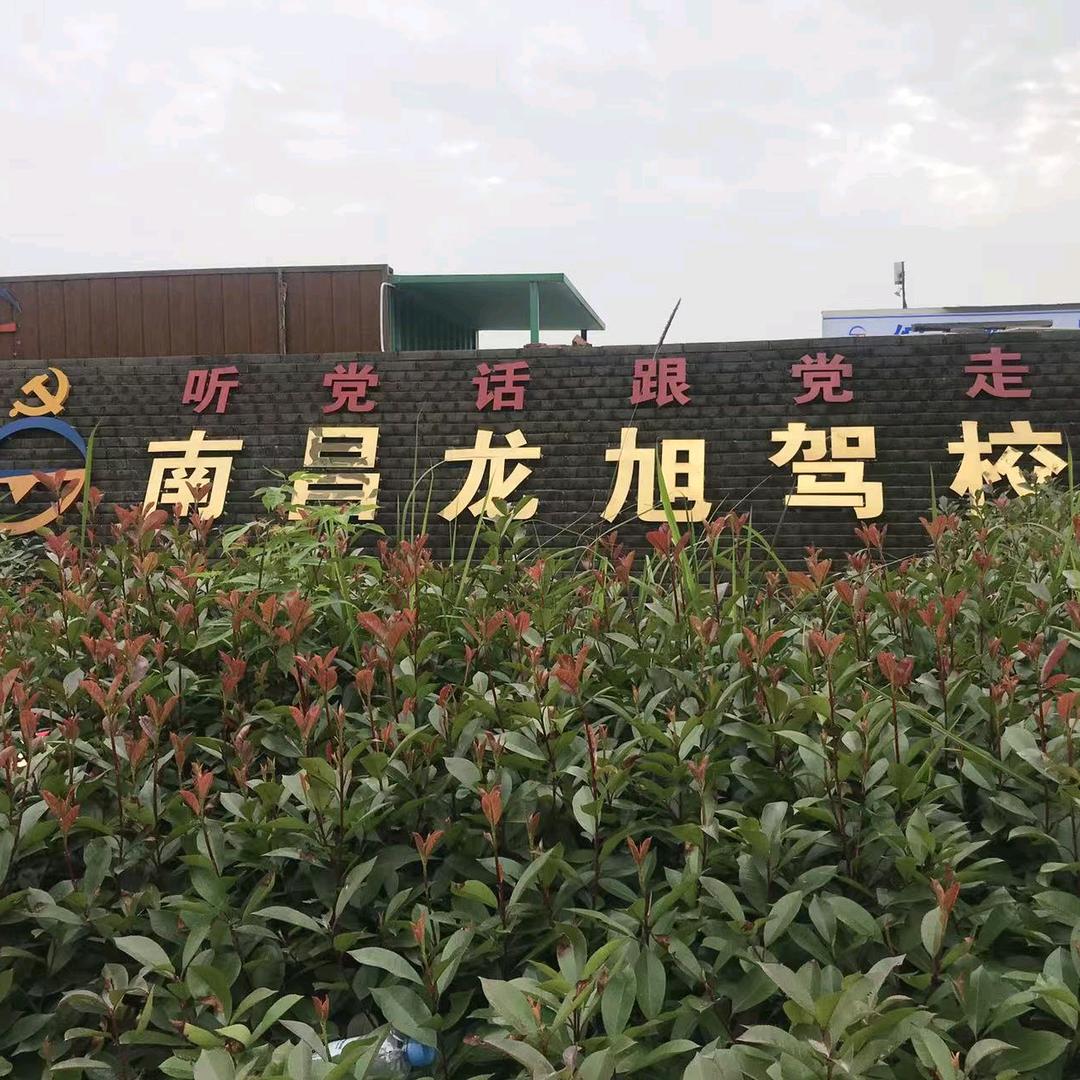 南昌龙旭驾校小龙