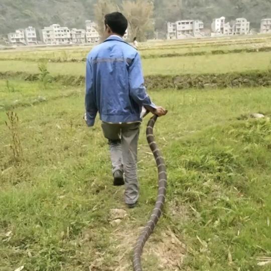 用户3917579669833
