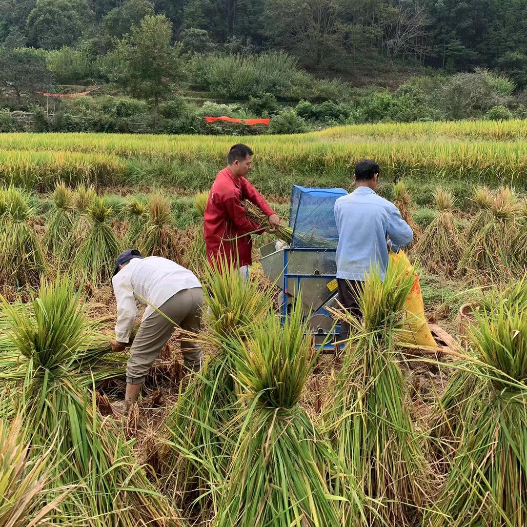 食在☞南雄味《小林》