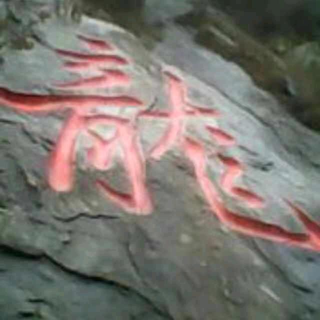 行运一条龙