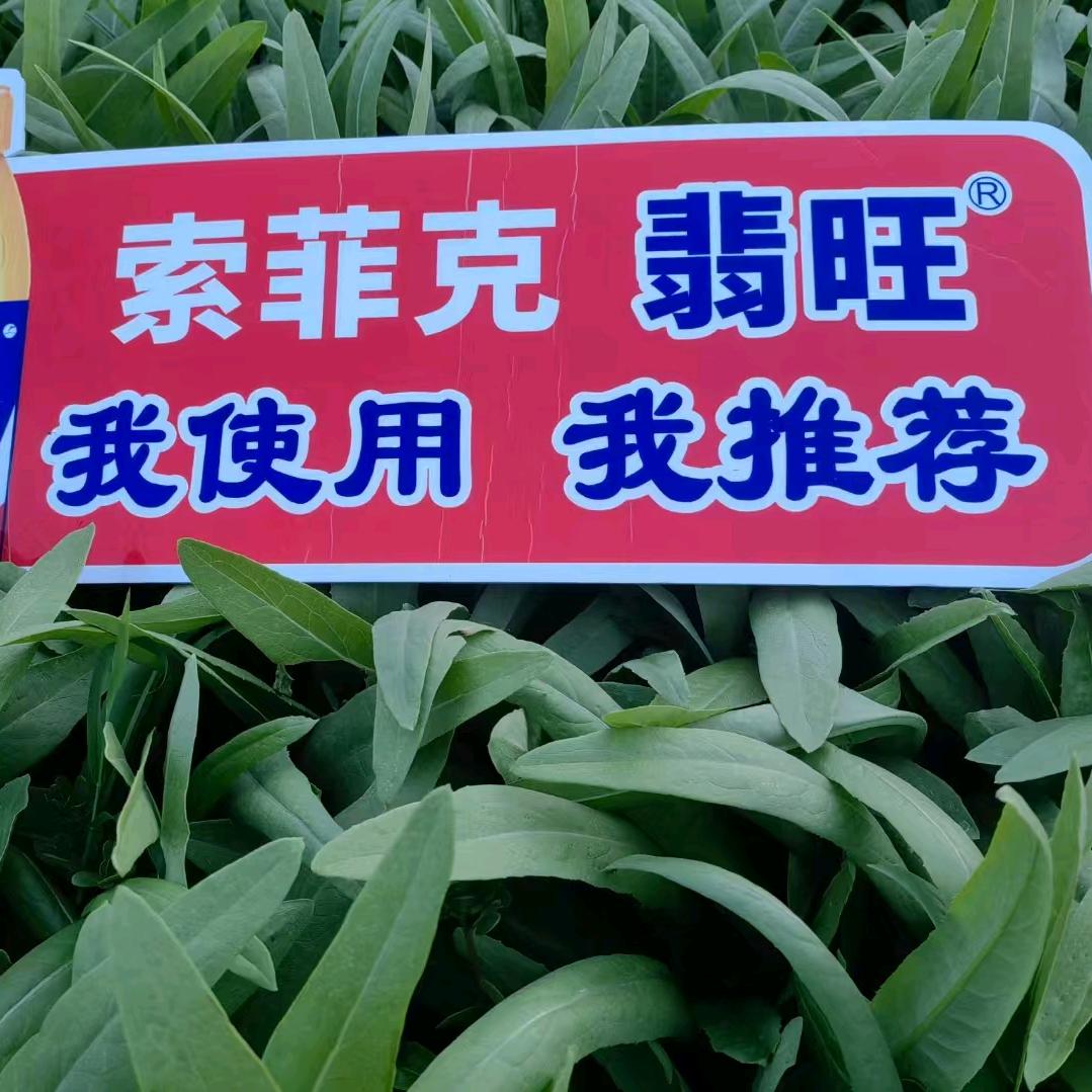 通许忆农农资索菲克翡旺销售