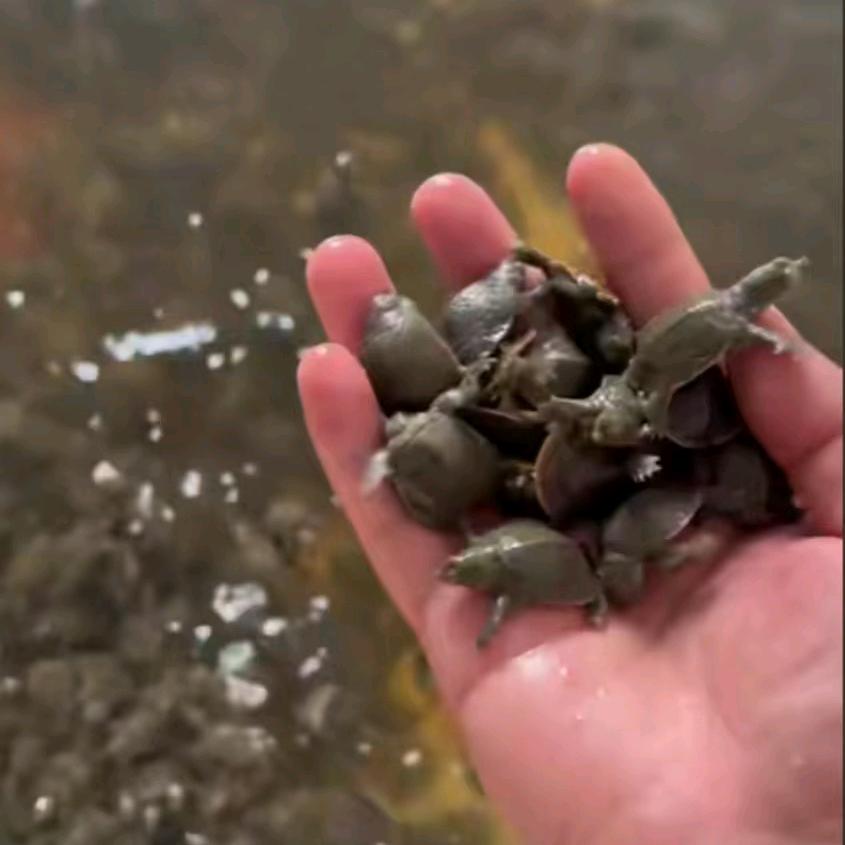 宏忠鳝水产养殖基地