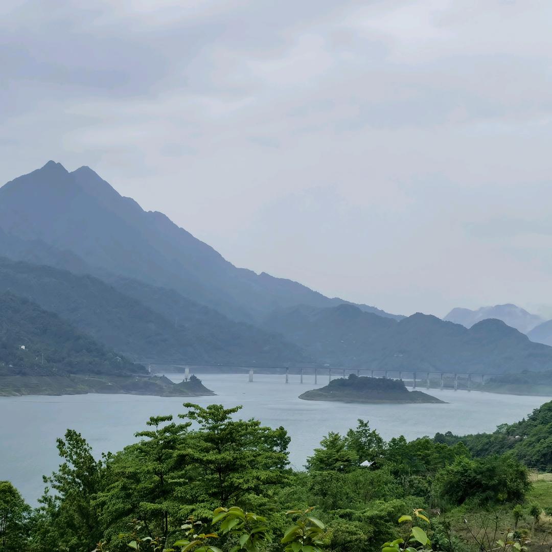 陈萌