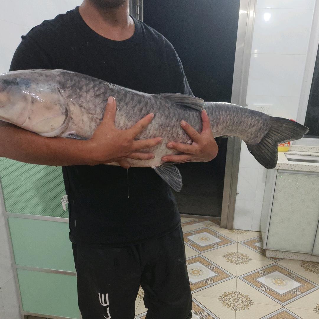 望城区光明村江湖生态钓场，