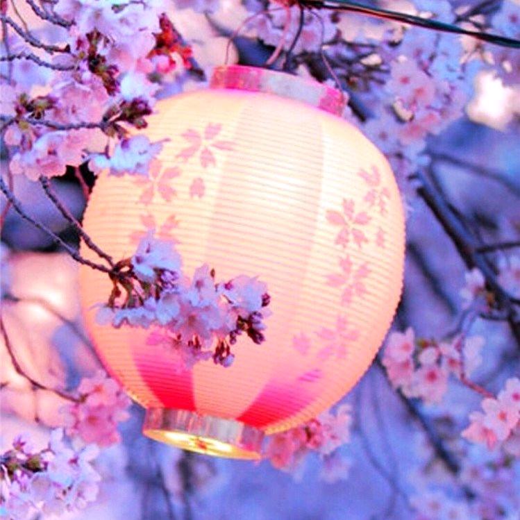 日语梓薇老师
