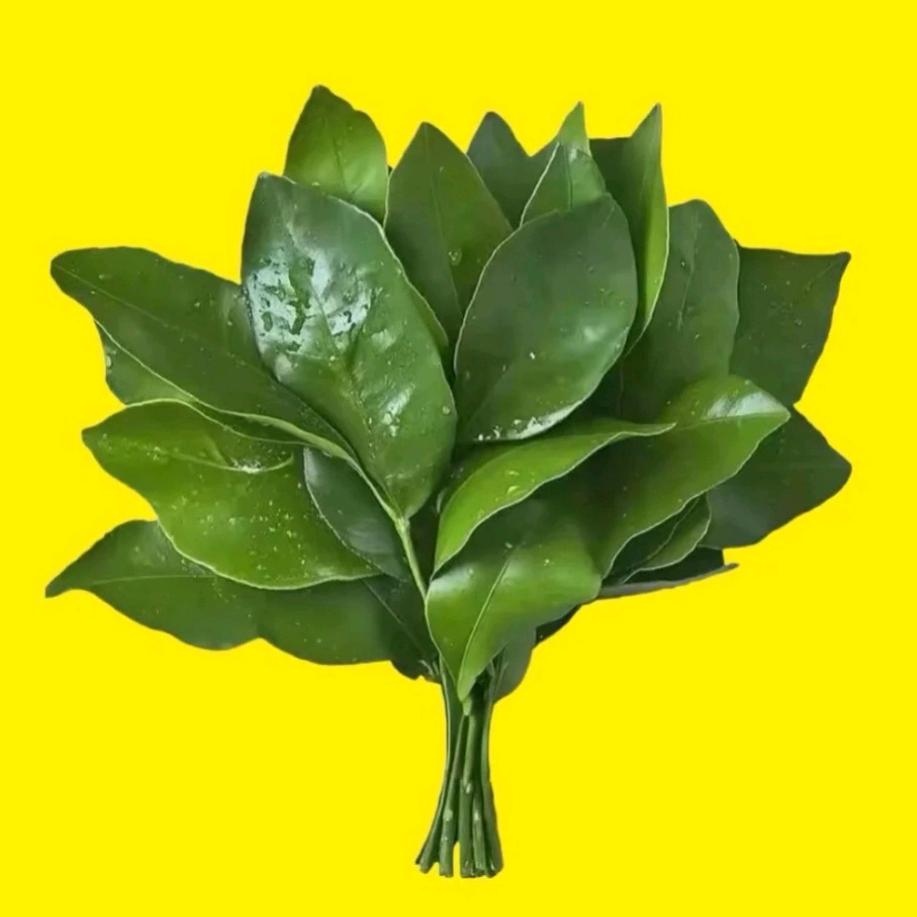 岁月如阁