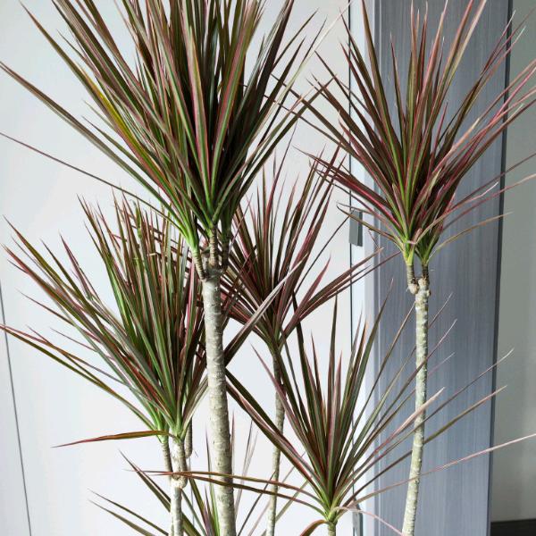 ૮ o̴̶̷᷄ ·̫ o̴̶̷̥᷅ ა