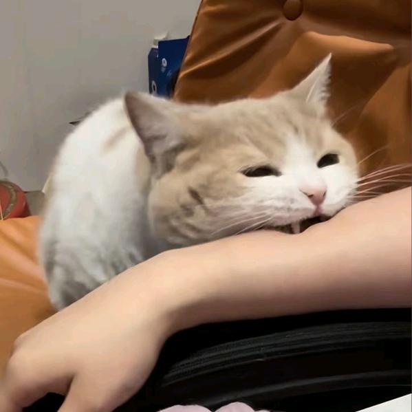 草木荣枯