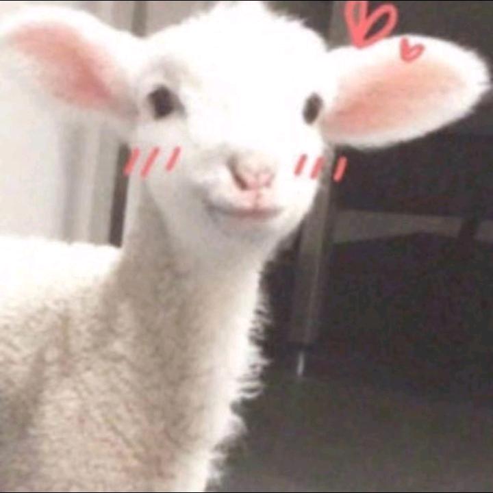 小吉