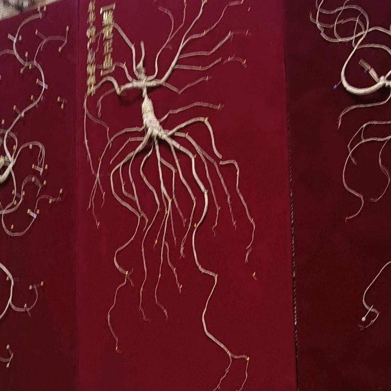 风温柔的清晰，也许会飘来好消息