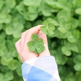 遇见你是我的缘