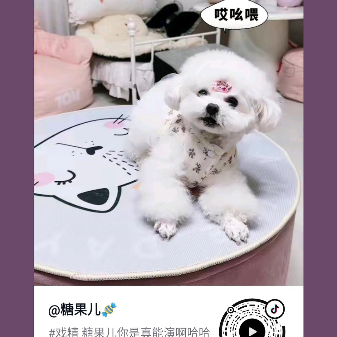 纯爷们