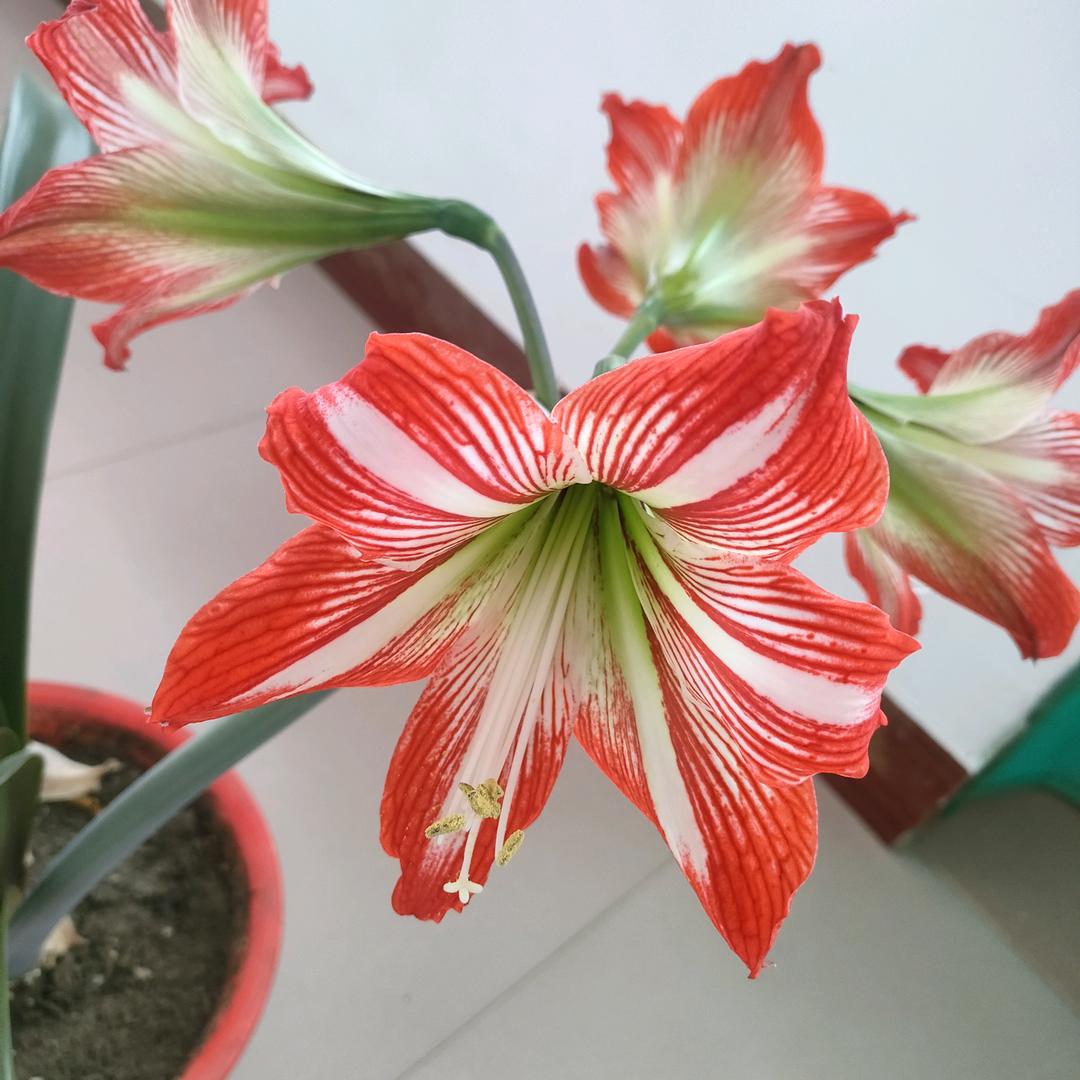 好运相伴
