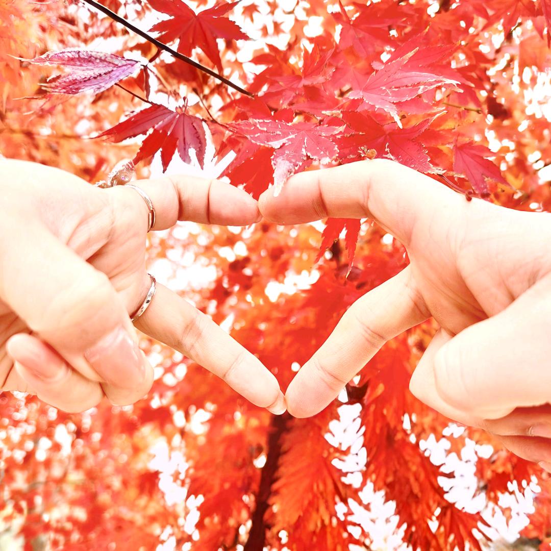 林 言