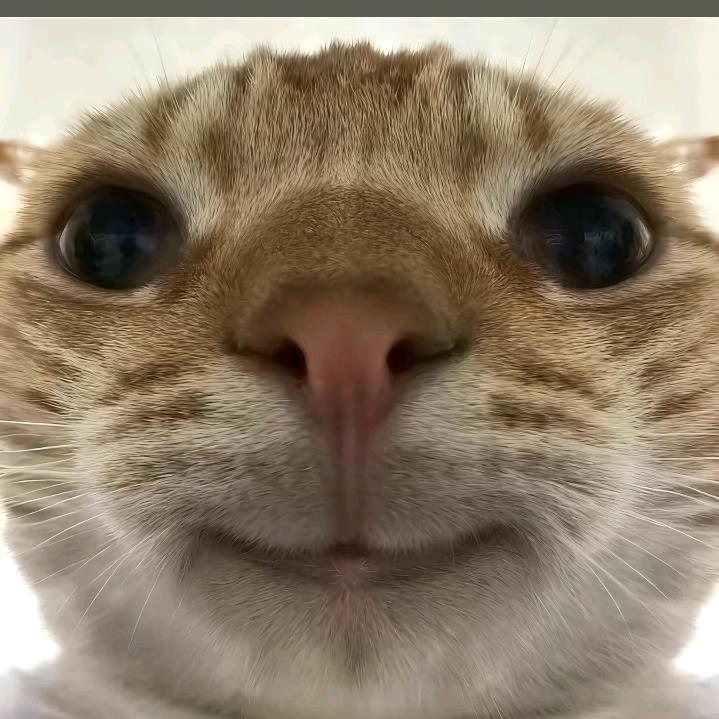 芙蓉魍圆不会遇见罓卞周边