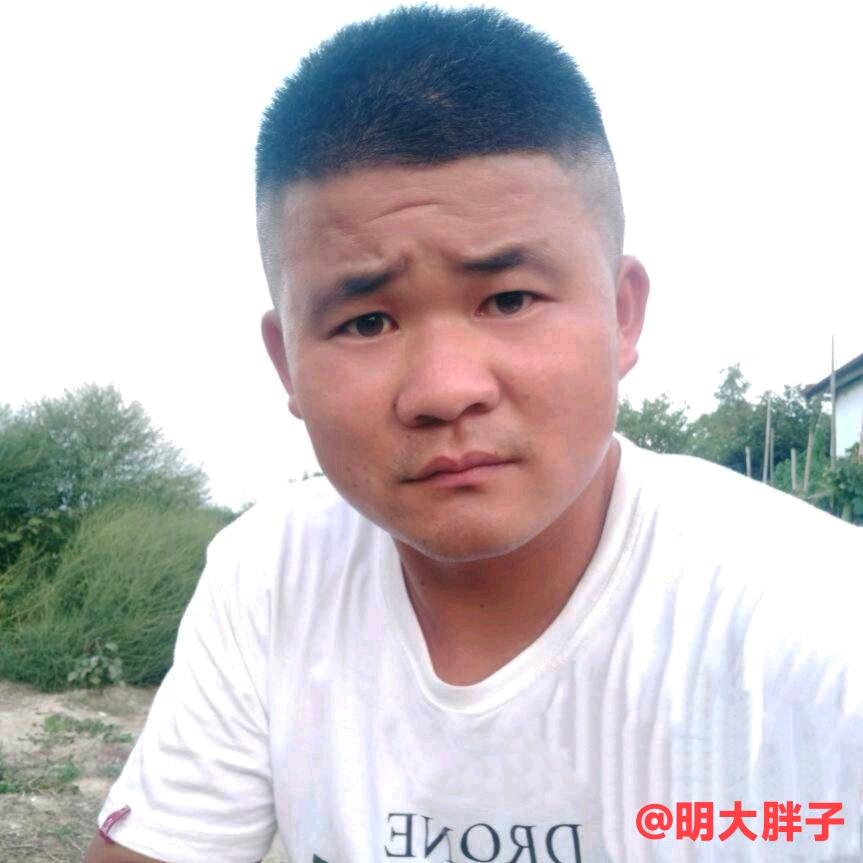 明大胖子气化炉
