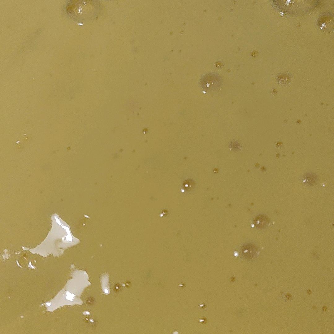 老鼠妈（宠物自主直播