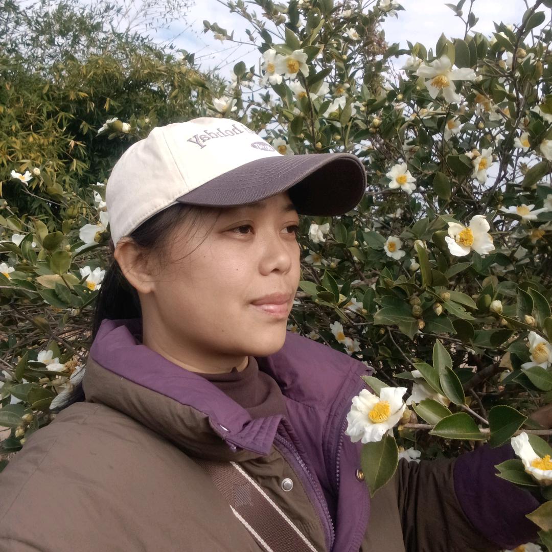 红姐山茶油