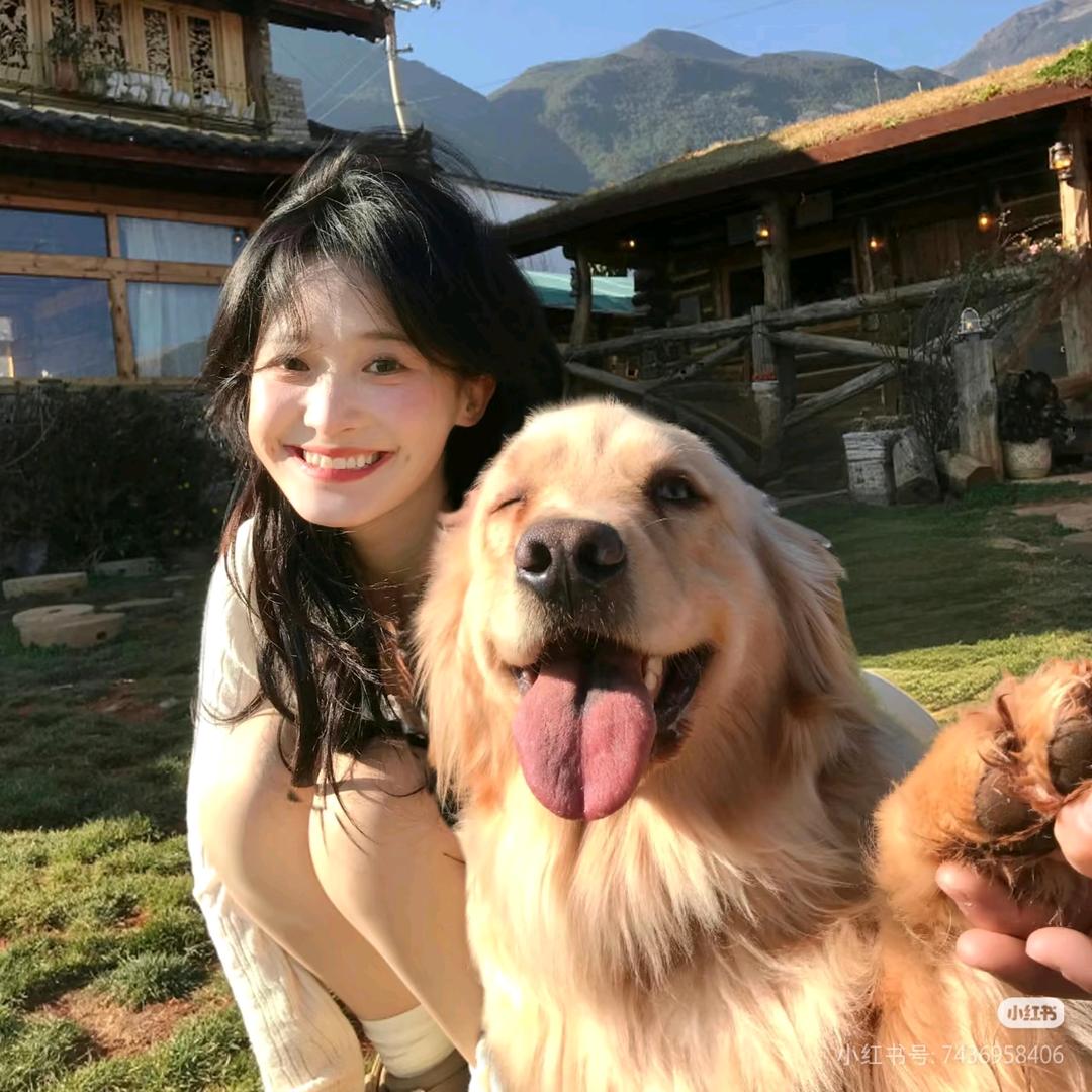 小熊穿上了性感的比基尼