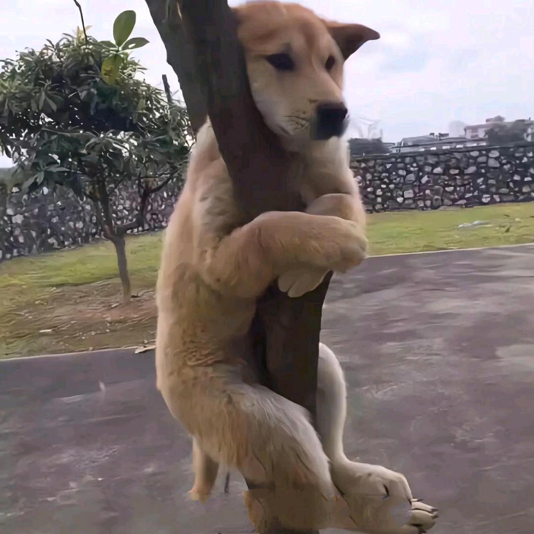 心悦
