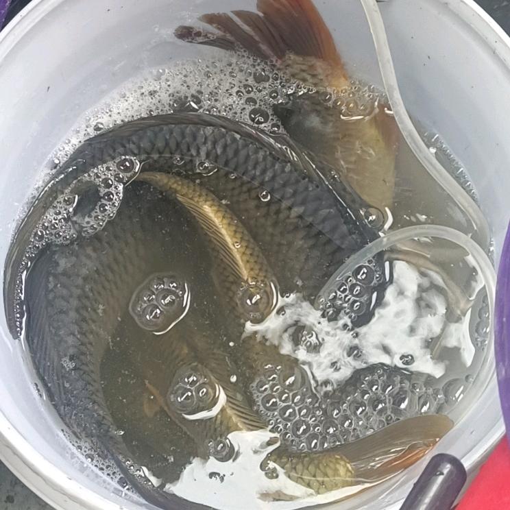 微笑面对每一天