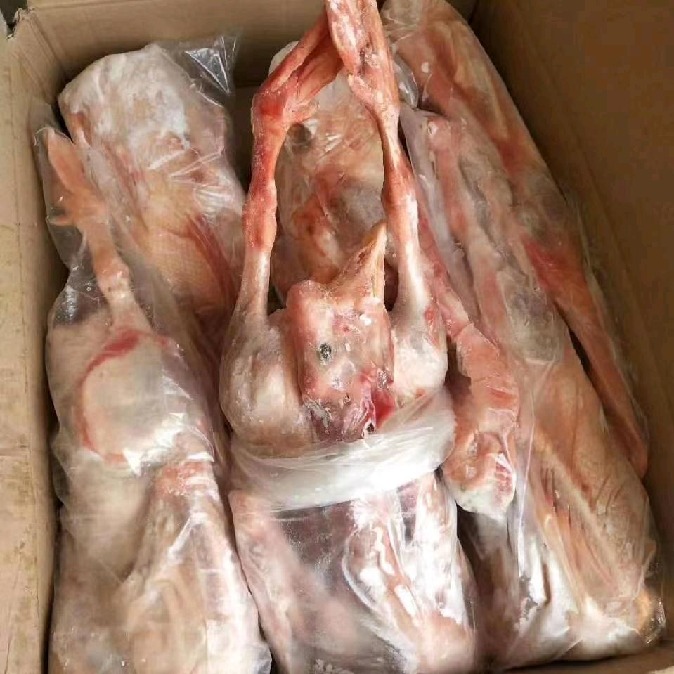 物流港白条鹅 鹅副全国批发