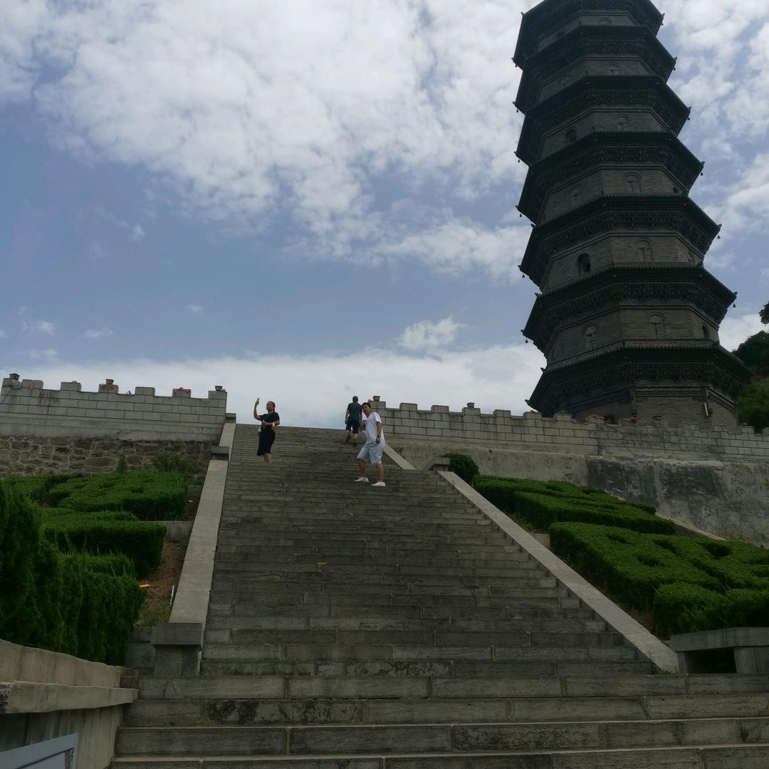 绿色海洋