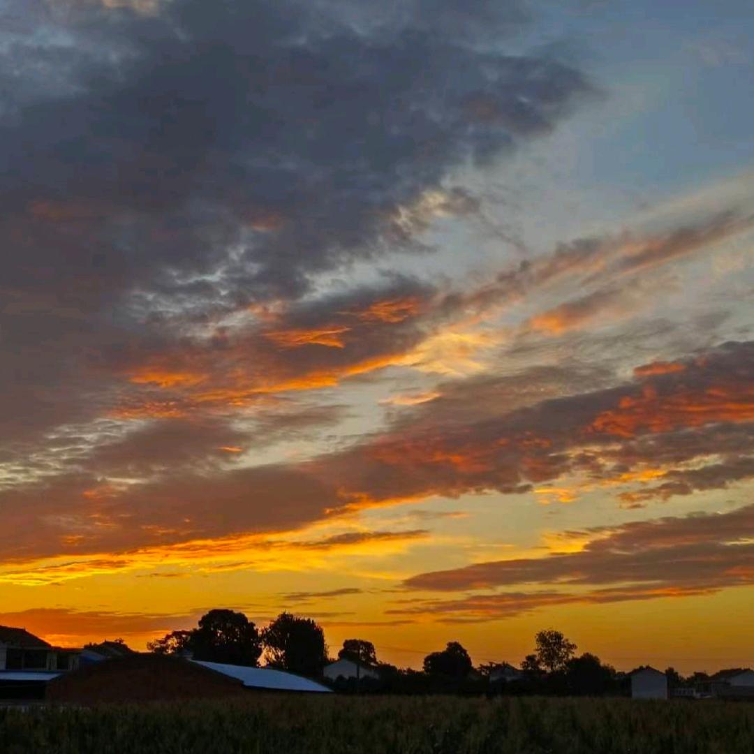 每当我看见白色的月光