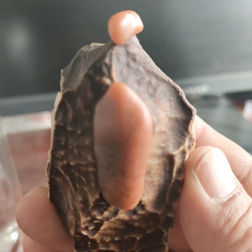 戈壁玉见你