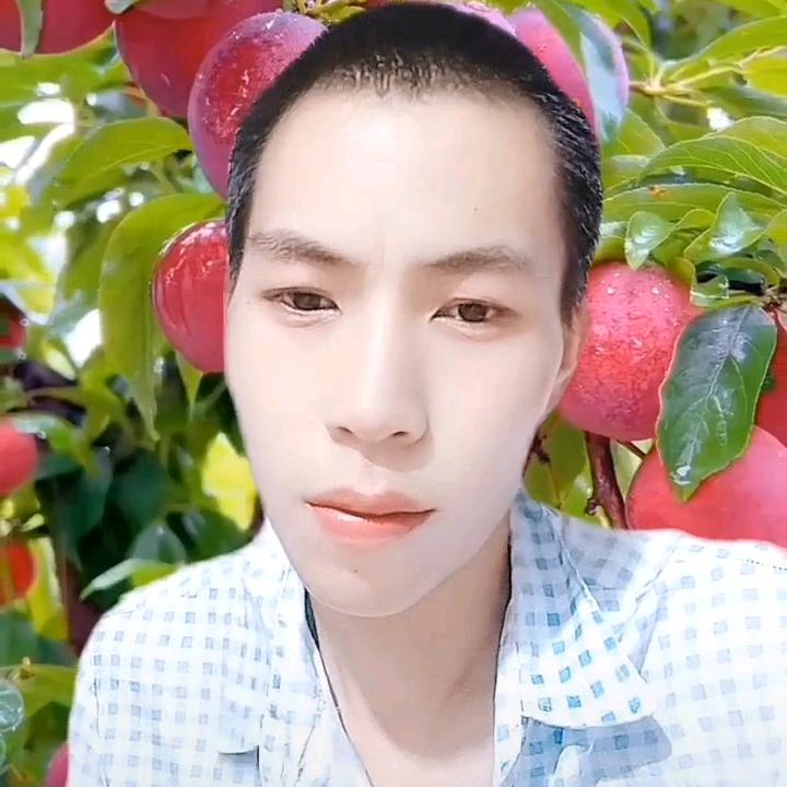 善语结善缘：恶言伤人心