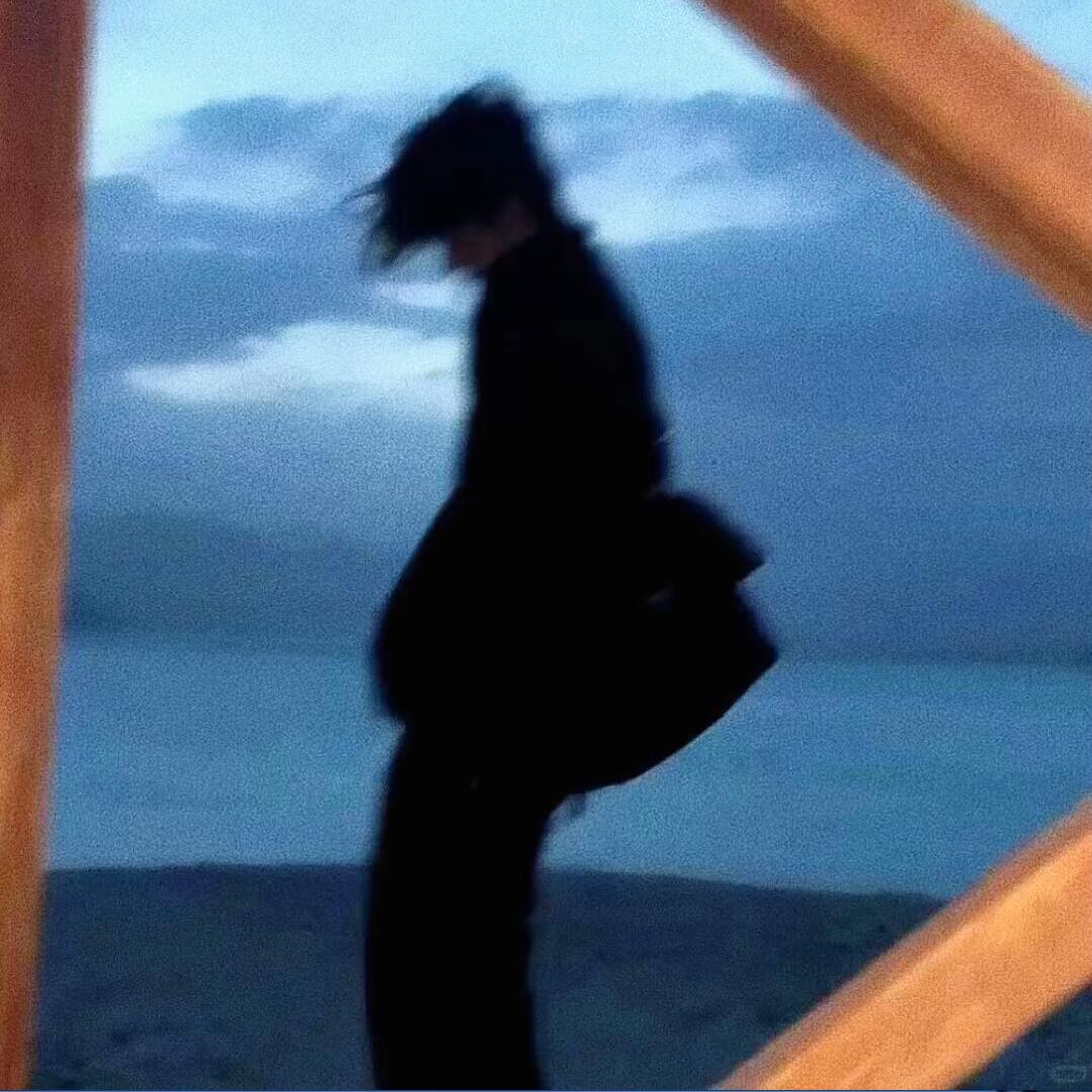 L🐳