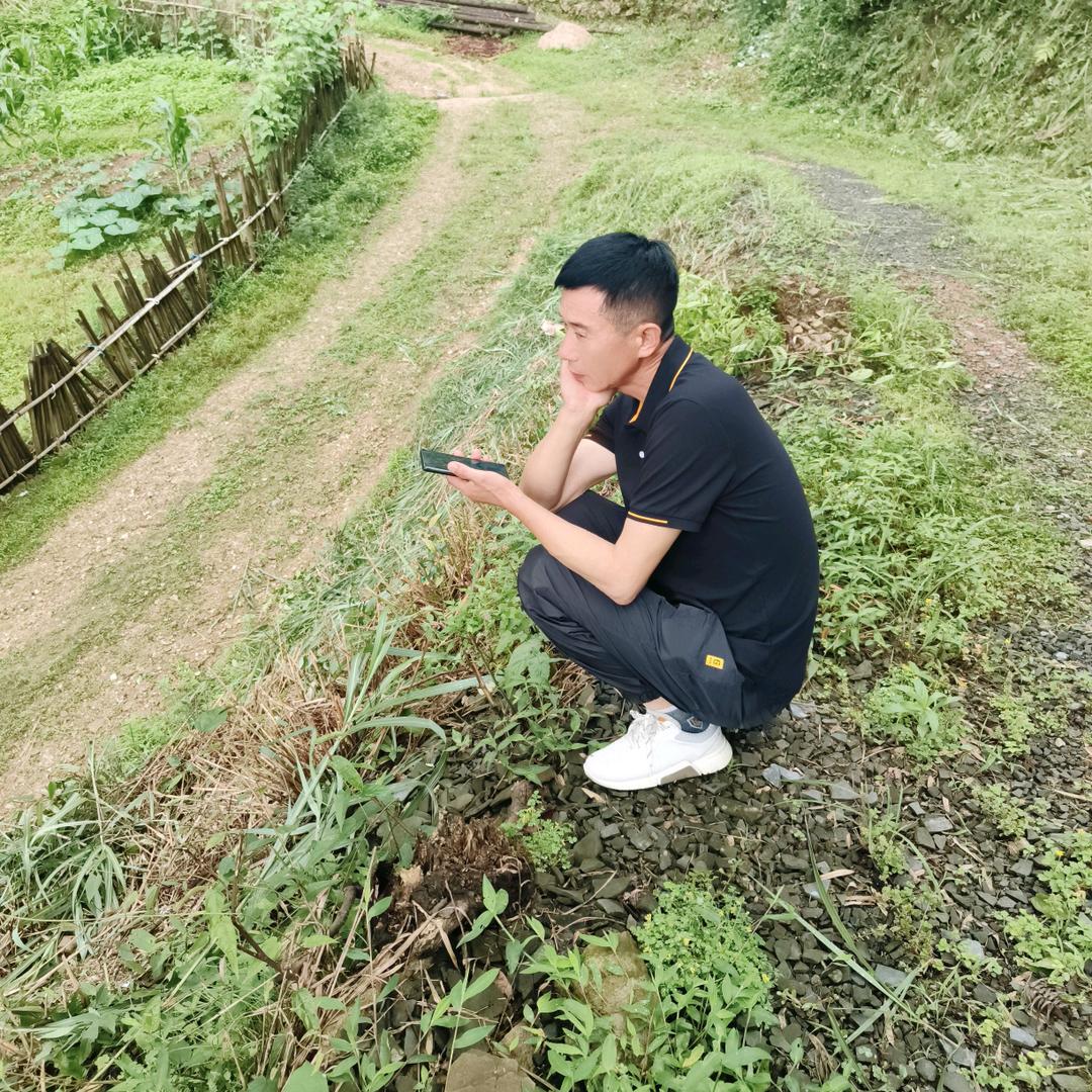 老安