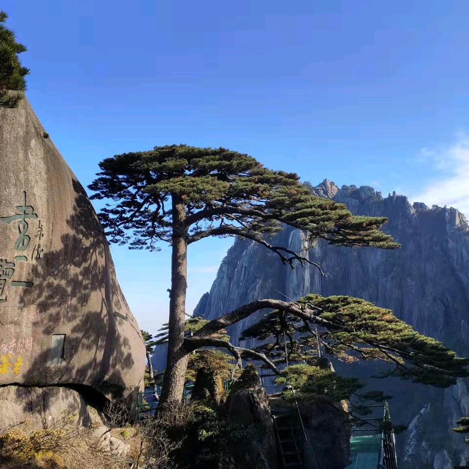 沉默✌️