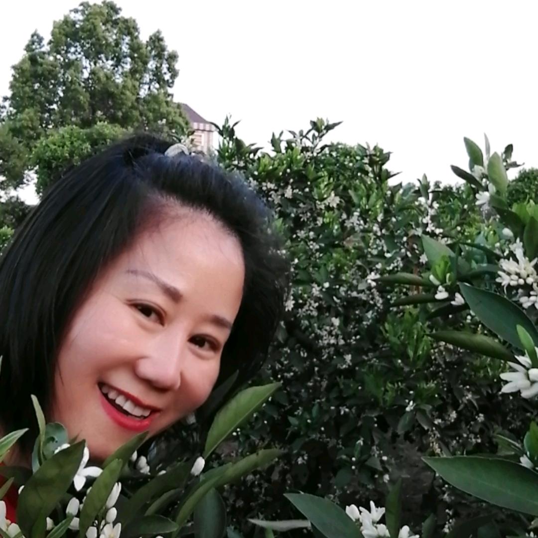 燕琦