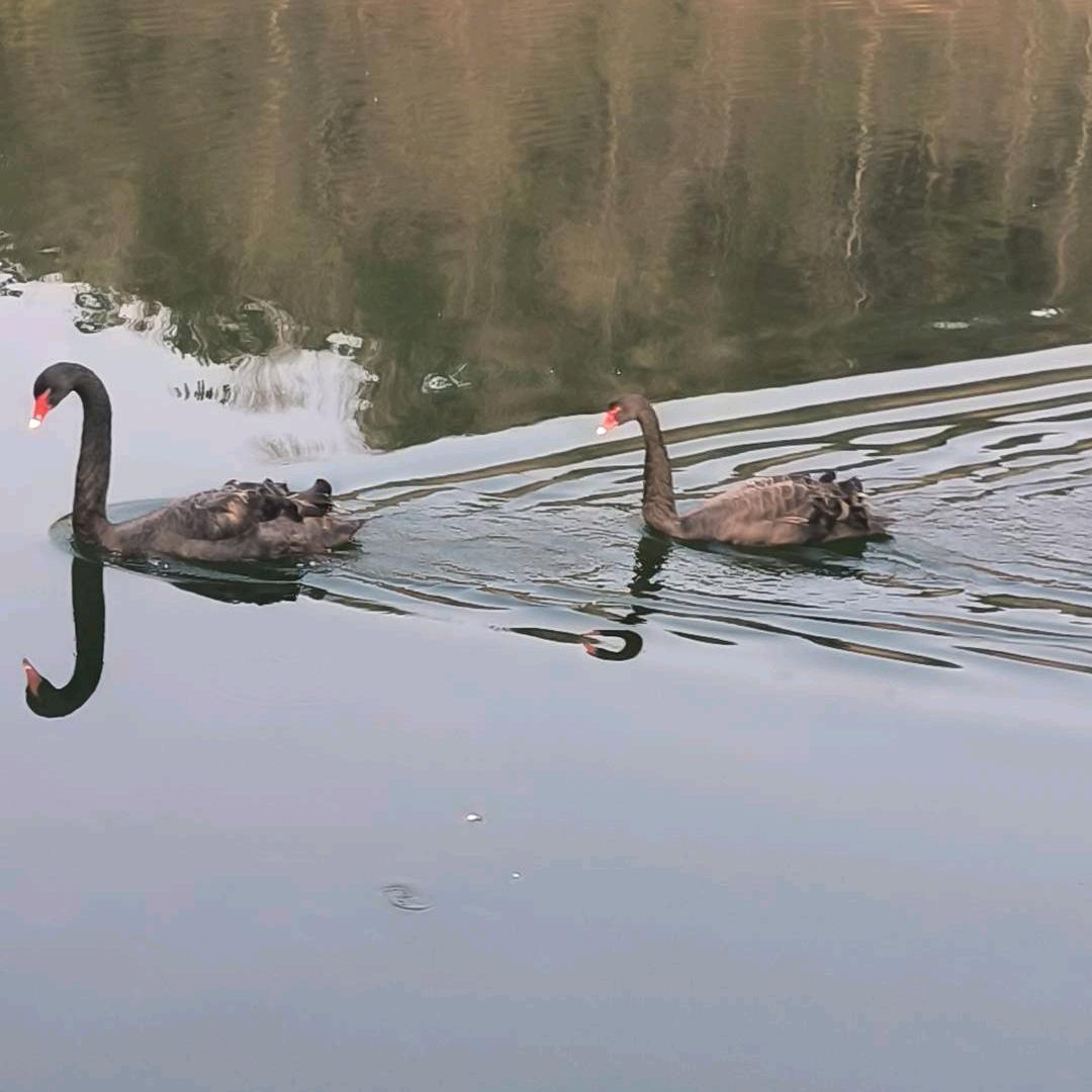 最浪的隔壁老王