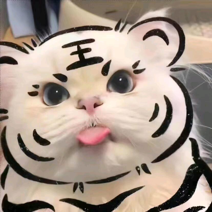 踏舟