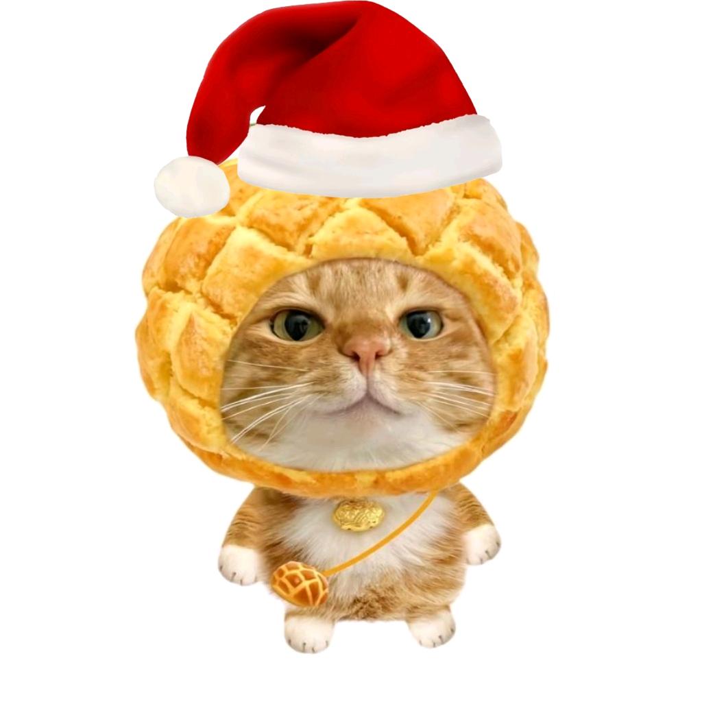 吃吃吃吃个菠萝包