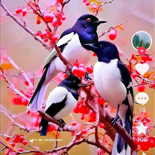 幸福的女人