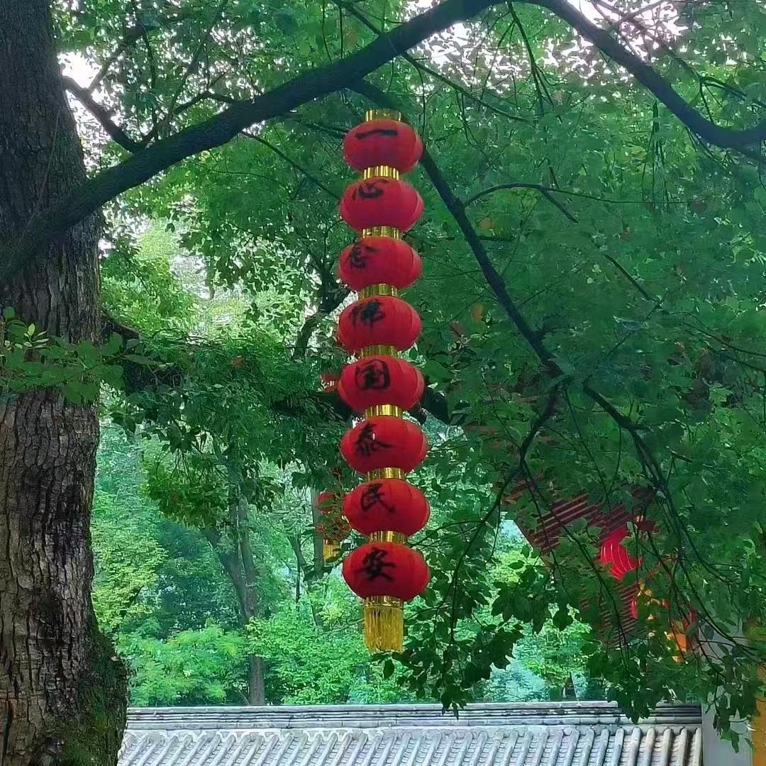 山曜脏腑调理