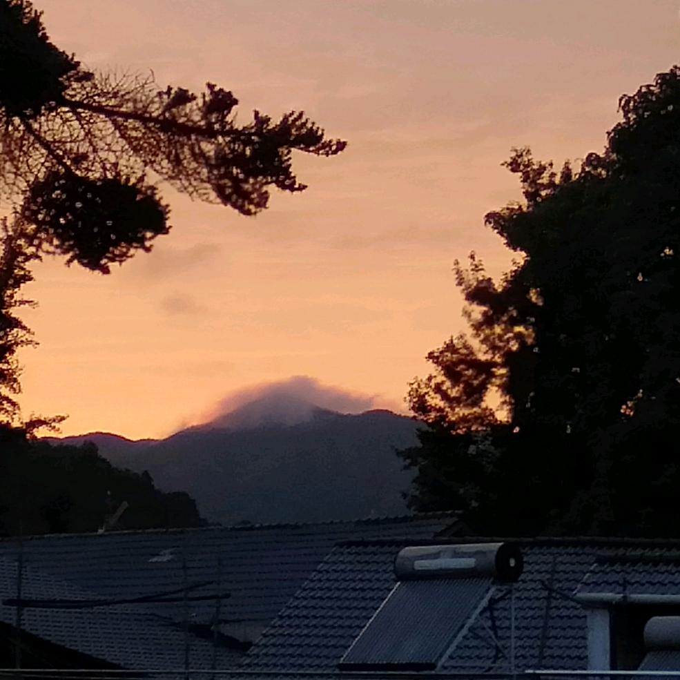 西瓜大王头像
